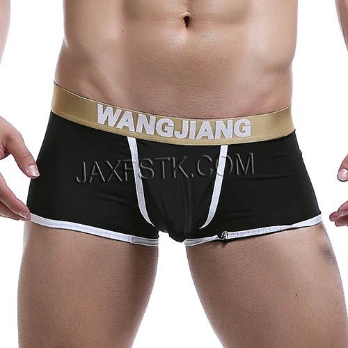 Sexy Men's Elasticity Boxer Brief Bottoms Underwear Penis Hole Pouch Ice Silk Boxers TS1855