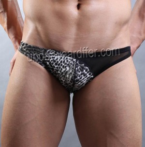 Hombres de moda Low-rise Leopard Splice See-through Mesh Pouch Briefs Underwear MU923