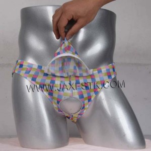 Men's Brief Mesh Plaid Mini Pants Underwear Penis Hole Bulge Pouch Briefs Calzoncillos men gay underwear mens bikini